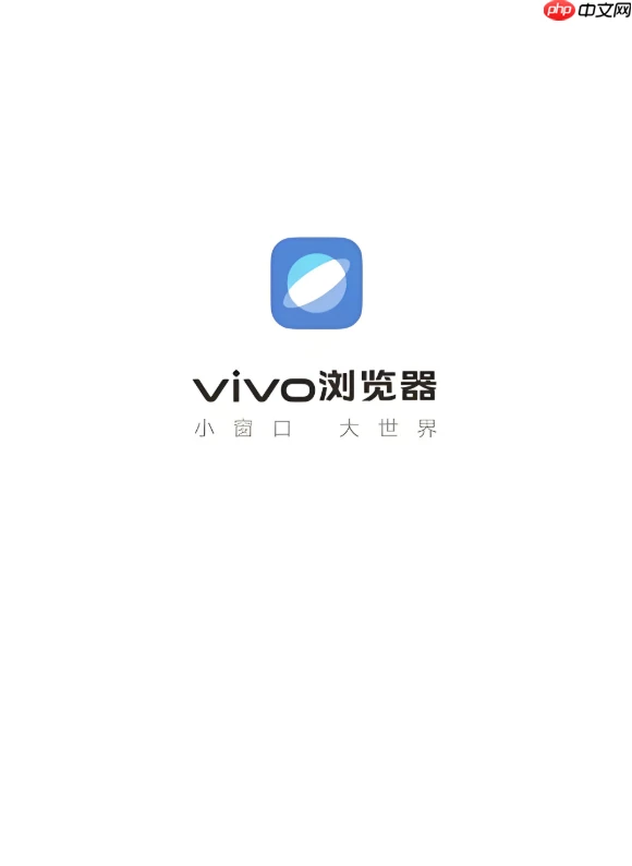 vivo浏览器安全警告怎么关闭_vivo浏览器取消网站安全风险提示方法