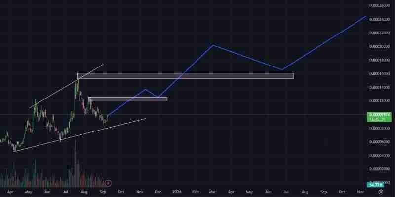 Floki INU (FLOKI)币未来前景如何？FLOKI币2025年、2026年-2030年价格预测