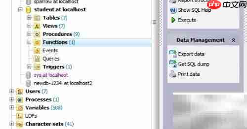 Maestro修改函数注释指南