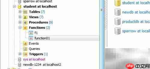 Maestro修改函数注释指南