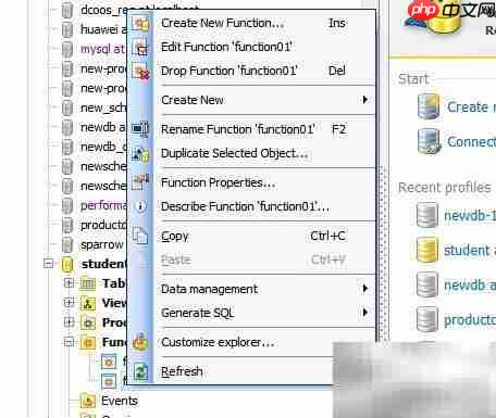Maestro修改函数注释指南