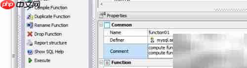 Maestro修改函数注释指南