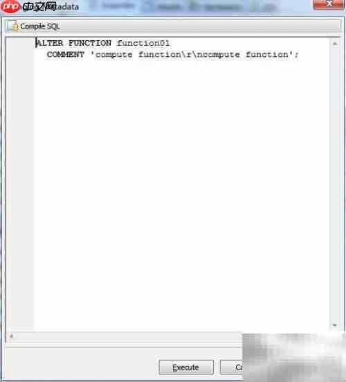 Maestro修改函数注释指南