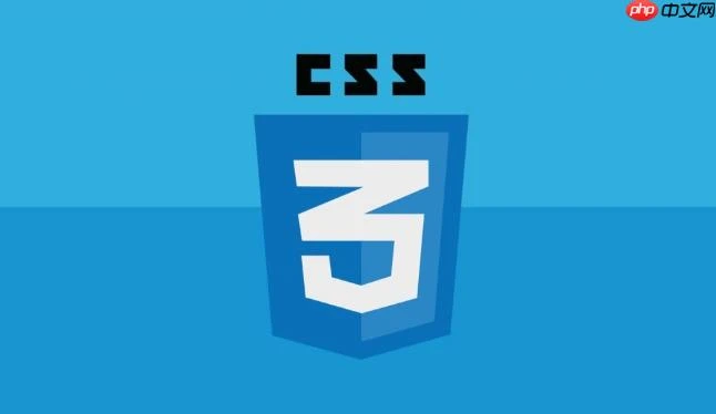 css transition在表单输入框聚焦中的应用