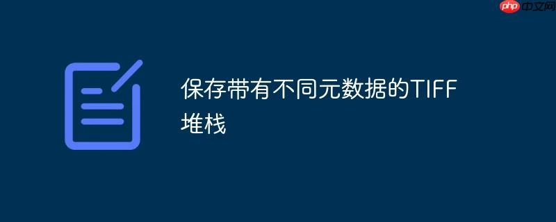 保存带有不同元数据的TIFF堆栈