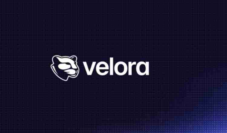 Velora(VLR)币是什么？怎么样？Velora项目概述,代币经济与未来发展介绍