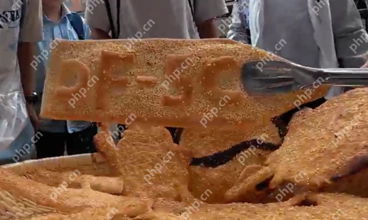 东风-5C烧饼火遍全网，背后原因是什么？详情介绍 - php中文网