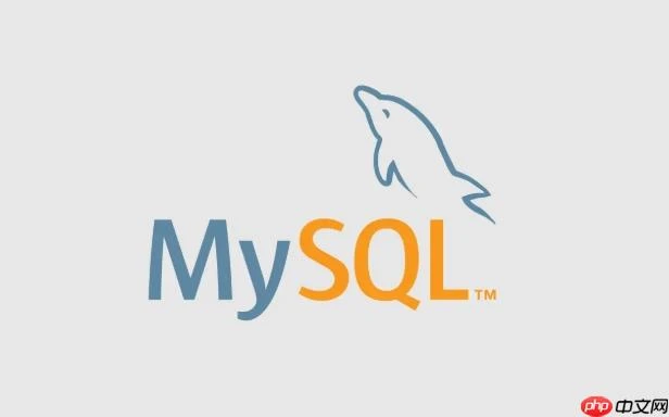 mysqlmysql如何优化大字段查询性能