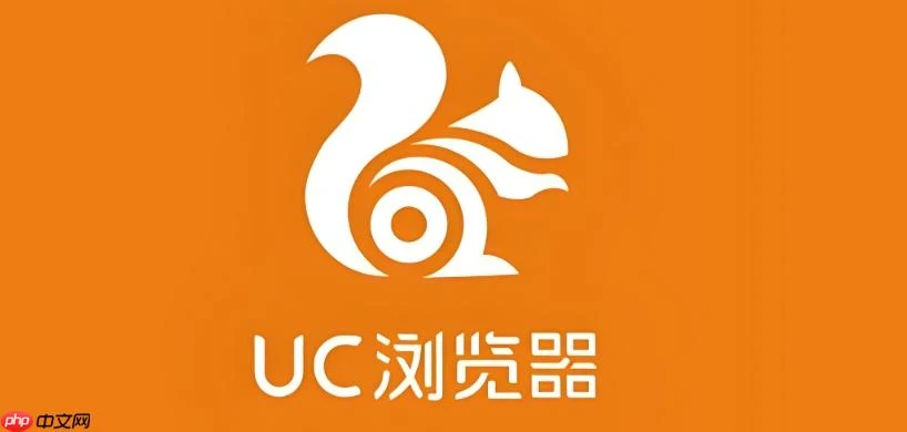 uc浏览器打不开网页是什么原因_UC浏览器网页无法打开问题排查