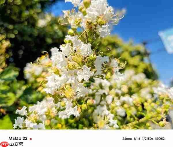 魅族22上手：3000元档小屏手机的最优解 找不到短板