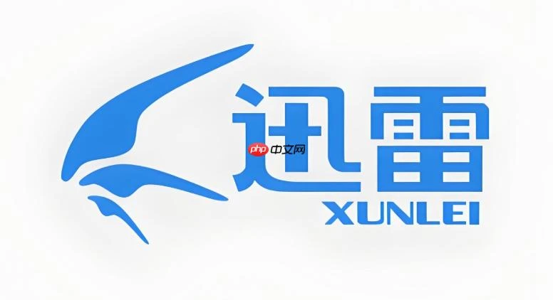 迅雷网页版搜索入口 迅雷网页版搜索地址