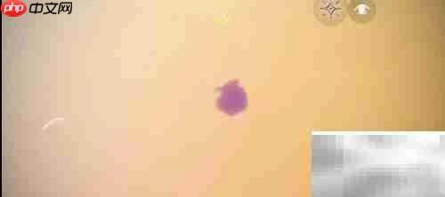 光遇晨光海单人打卡攻略