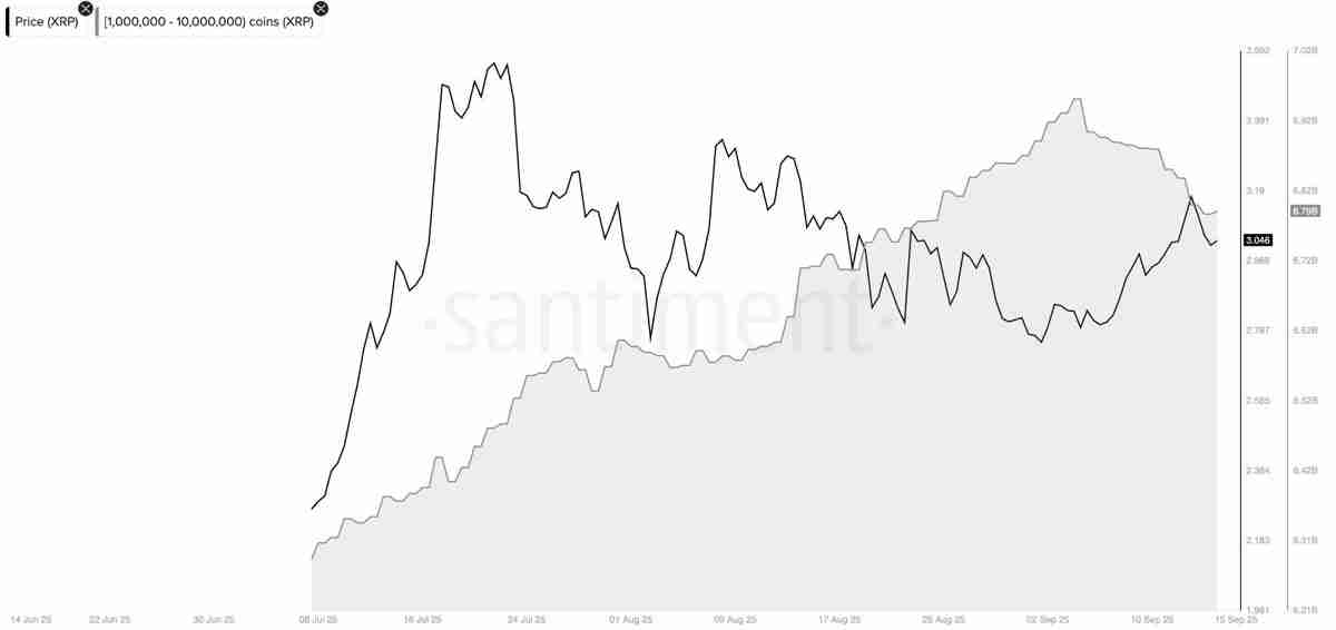 详细了解瑞波币(XRP)反弹停滞现3美元假突破,巨鲸持续抛压致上涨动能衰竭