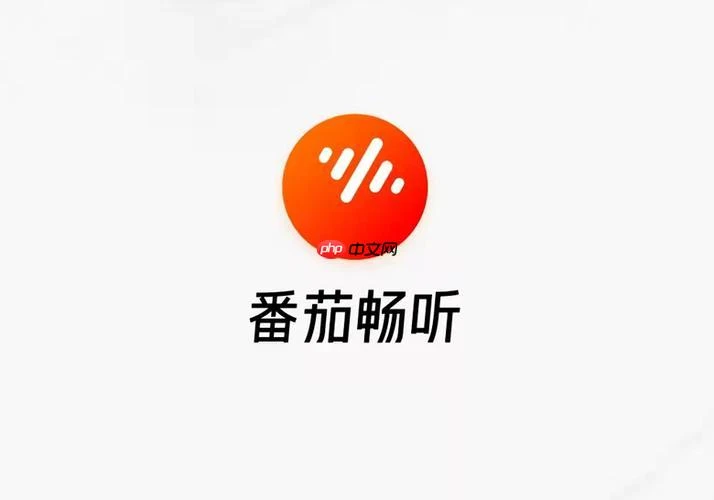 怎么安装番茄畅听APP_番茄畅听安装流程与权限设置指南