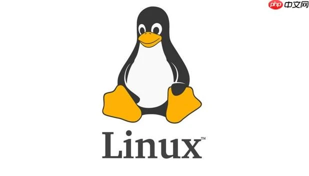如何在linux中查看arp表?