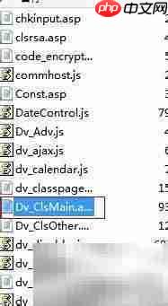 去除Dvbbs.net版权方法