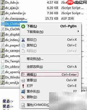 去除Dvbbs.net版权方法