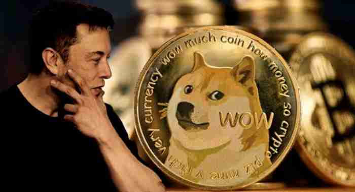 马斯克加密货币有哪些？2025年五大最值得关注的马斯克加密货币推荐